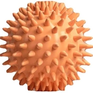 خرید توپ ماساژ جوجه تیغی