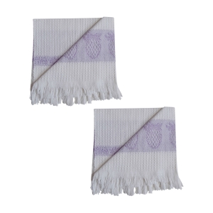 دستمال آشپزخانه تام کلین مدل TC-HC002C بسته 2 عددی