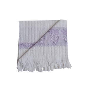 دستمال آشپزخانه تام کلین مدل TC-HC002C بسته 2 عددی