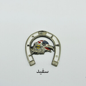 نعل اسب زینتی خودرو