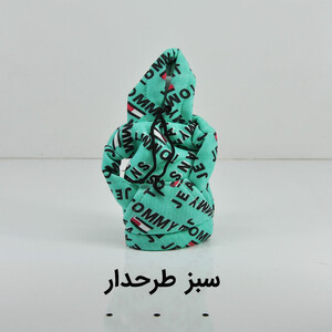 روکش دنده طرح هودی