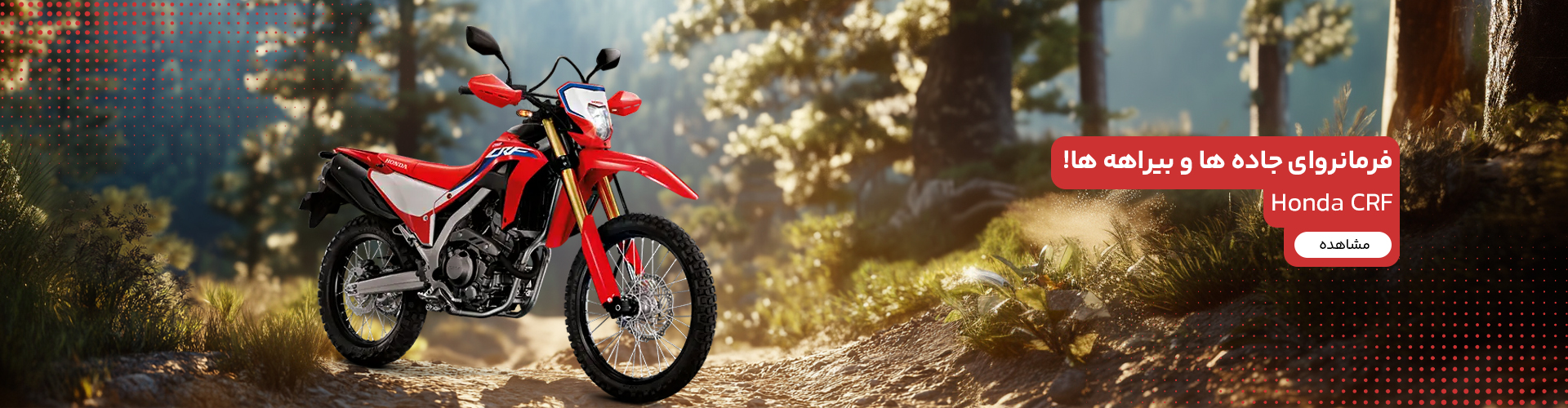 CRF 250 