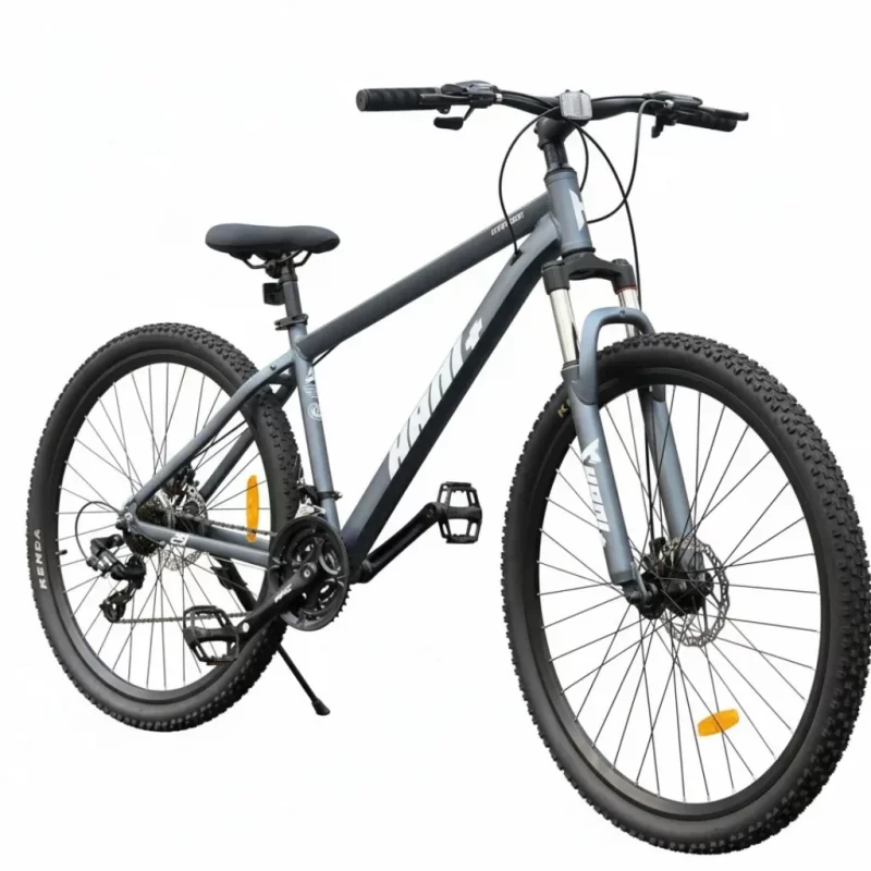 دوچرخه کوهستان هانی مدل پلاس سایز طوقه ۲۹ اینچ