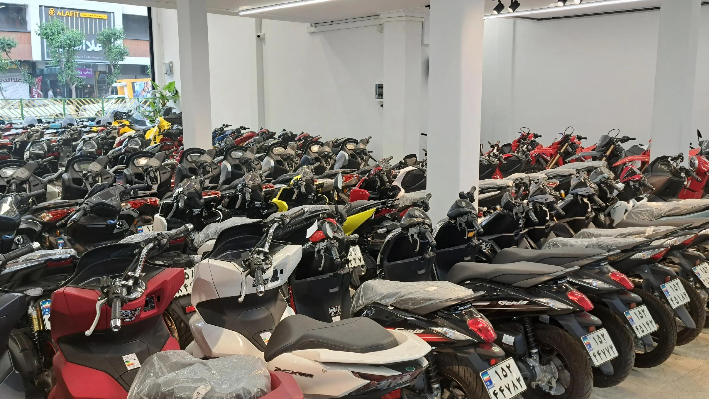 درباره تات سیکلت شهریاری 