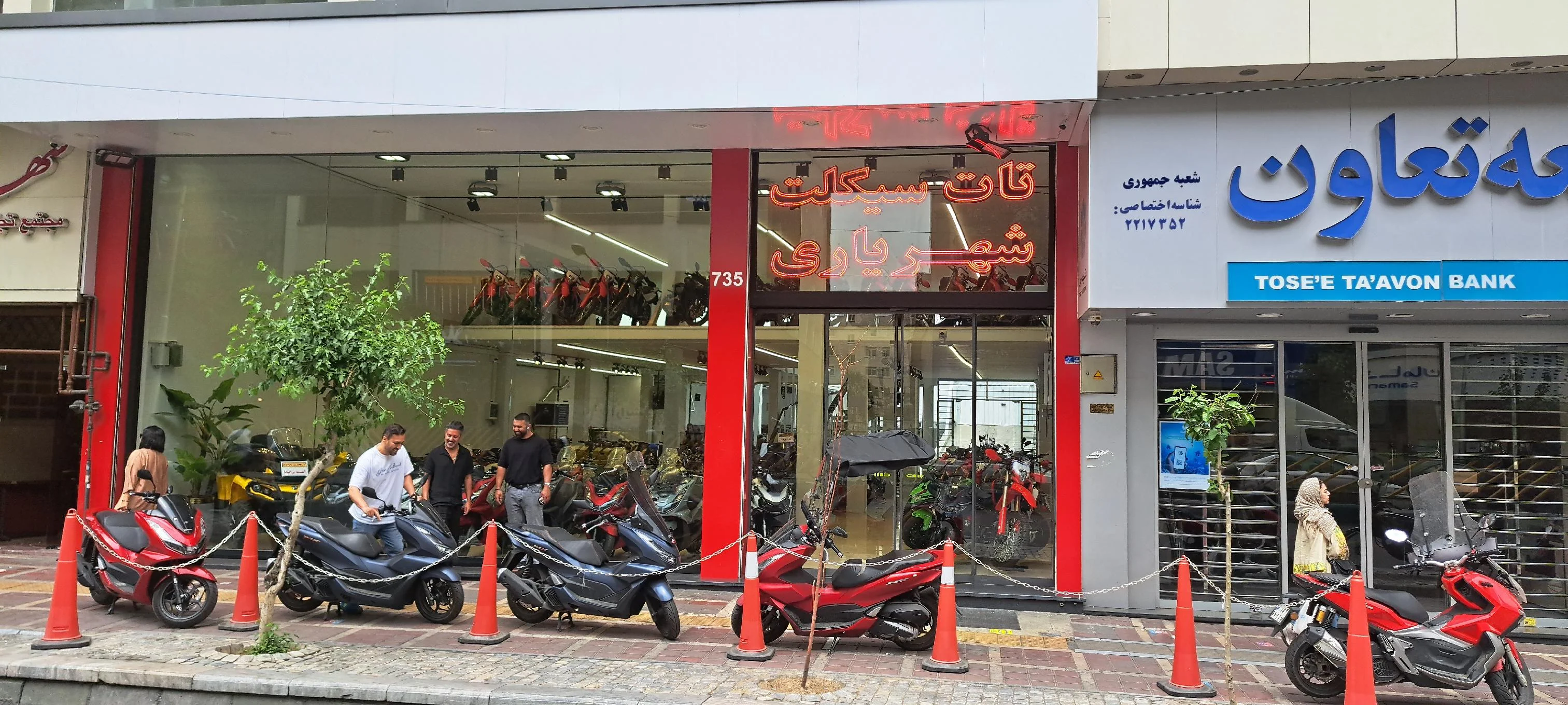 درباره تات سیکلت 