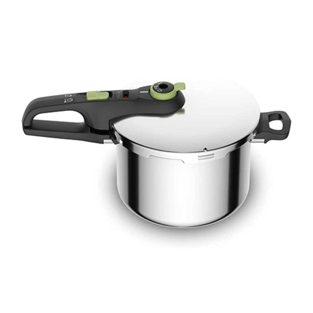 زودپز6 لیتری تفال مدل P2580702