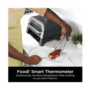 سرخ کن و گریل نینجا مدل NINJA DG551