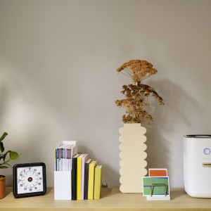 دستگاه تصفیه هوا کارچر مدل AF20