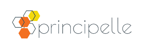 پرنسیپل