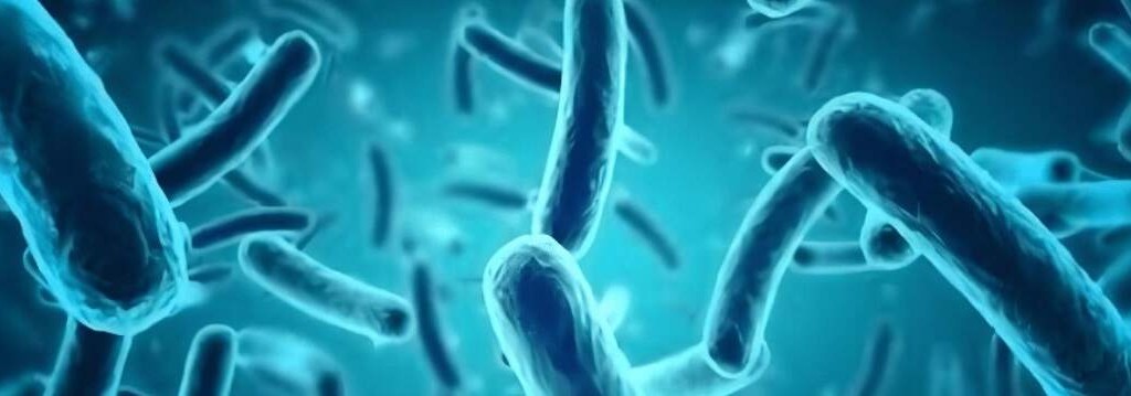 بیوفیلم زخم چیست؟