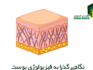 نگاهی گذرا به فیزیولوژی پوست