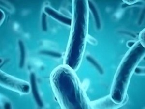 بیوفیلم زخم چیست؟