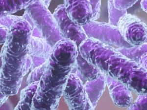 نقش اکسیژن در مدیریت بیوفیلم‌