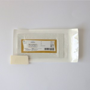 بون هم کیتوتک، مشخصات+ خرید آنلاین