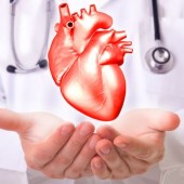 قلب و عروق