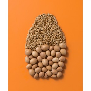 شامپو فری سولفات ضد شکنندگی مو ا جی ایکس مدل Keratin Oil حجم 385 میل