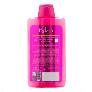 شامپو فاقد سولفات فولیکا مدل Ginkgo B5E حاوی جینکگو بایلوبا مناسب موهای وزدار و شکننده حجم ۴۰۰ میل