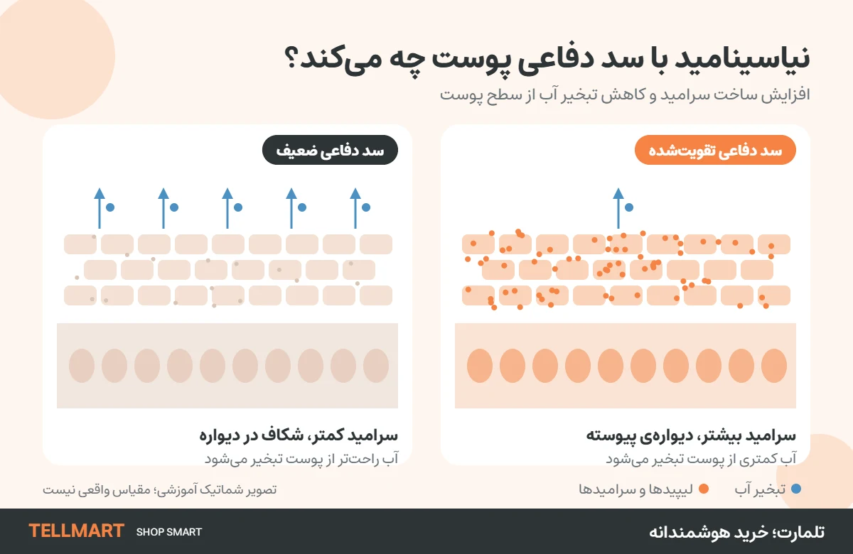 شماتیک اثر نیاسینامید روی سد پوستی
