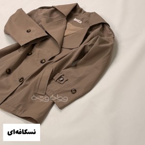 بارونیِ کوتاه چکه