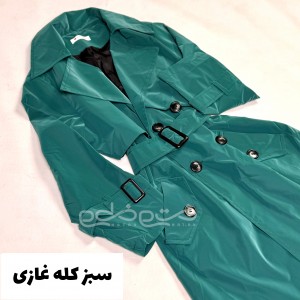 بارونی صاعقه