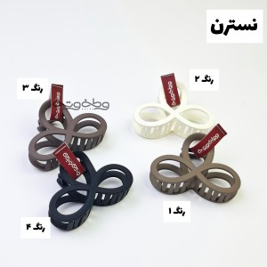 کلیپس نسترن