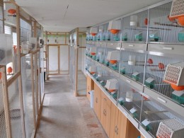 دستگاه کنترل سالن پرنده (مطلب)