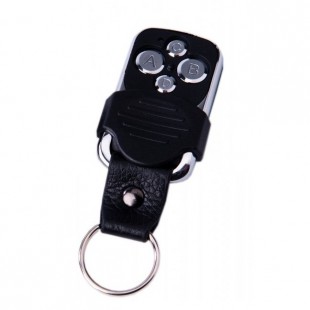 ریموت لرنینگ