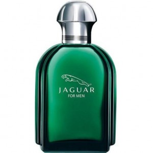 عطر ادکلن جگوار مردانه-سبز | Jaguar for Men