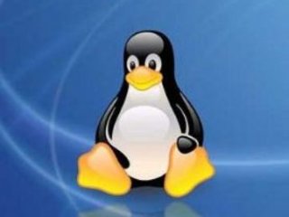 سرمایه گذاری  شرکت IBM روی سيستم عاملLinux ‎