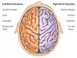 تکامل نيمکره های مغز وآينده نوآوری