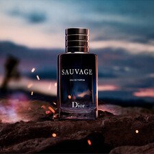 ادو پرفیوم مردانه دیور مدل Sauvage حجم 200 میلی لیتر