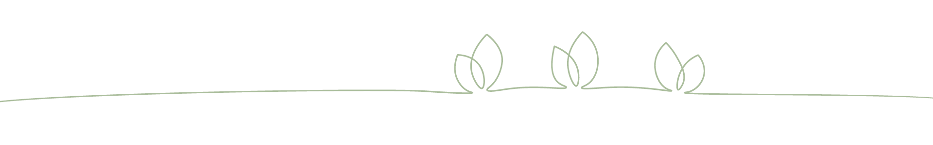 تهران ترمیم