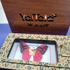 آویز گردنبند طلا 18 عیار زنانه گالری یارطلا مدل پروانه کد AP30