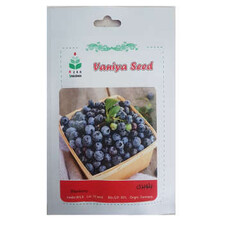 بذر بلوبری آذر سبزینه مدل A194