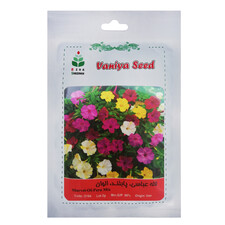 بذر گل لاله عباسی پابلند الوان آذر سبزینه مدل O184