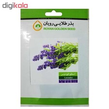 بذر گیاه دارویی اسطوخودوس بذر طلایی رویان کد BZT-108