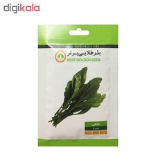 بذر سبزی خوراکی بذر طلایی برتر کد P-S-BZT-08 مجموعه 8 عددی