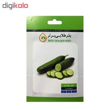 بذر خیار بوته ای بذر طلایی برتر کد BZT-53