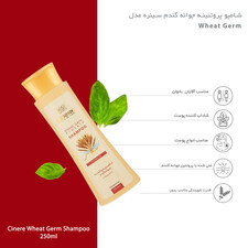 شامپو پروتئینه جوانه گندم سینره مدل Wheat Germ حجم 250 میلی لیتر