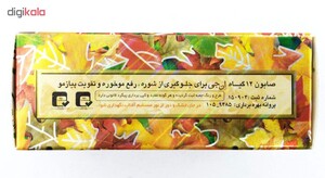 صابون 12 گیاه موی سر ان جی اورجینال مدل NG Herb وزن 100 گرم