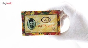 صابون 12 گیاه موی سر ان جی اورجینال مدل NG Herb وزن 100 گرم