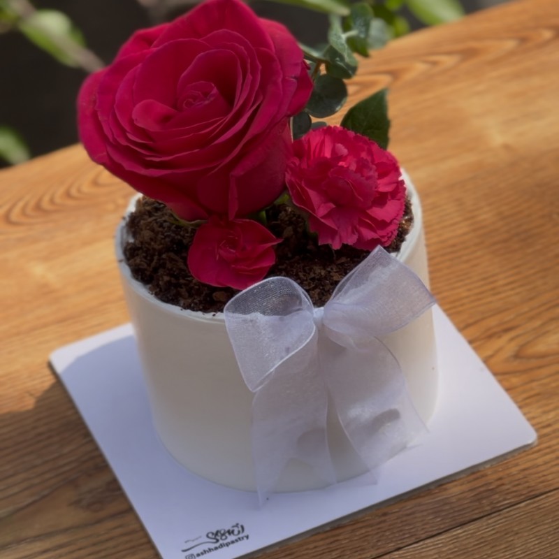 کیک گلدانی کد1