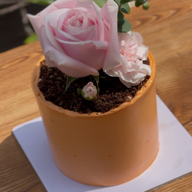 کیک گلدانی کد2