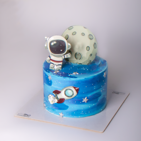 کیک فضاپیما