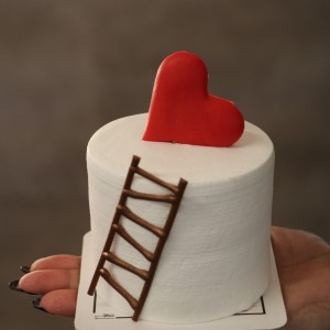 مینی دسری نردبان عشق