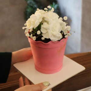 کیک گلدان صورتی