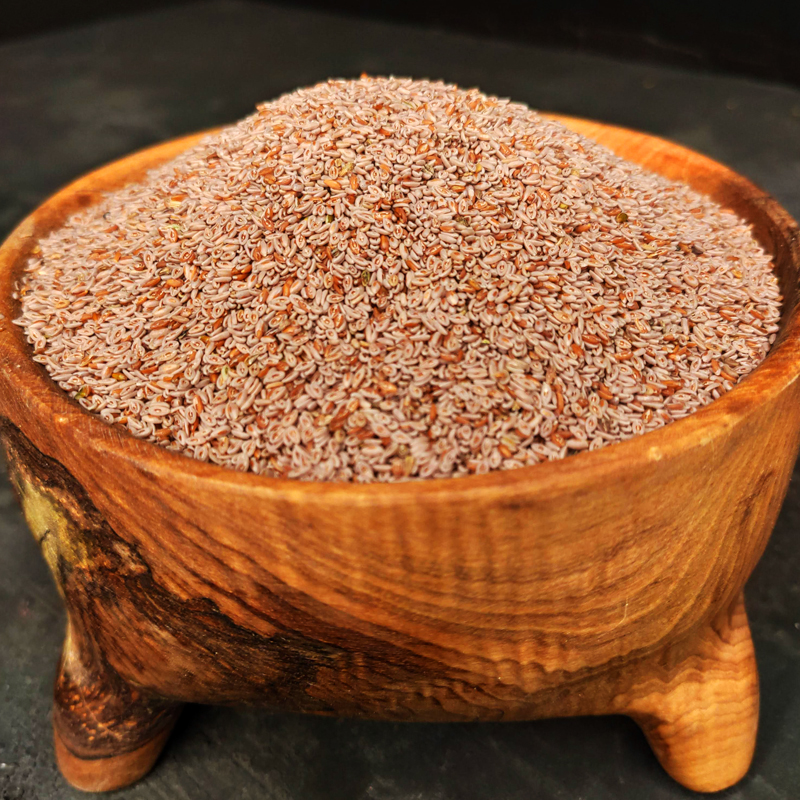 قدومه شیرازی اعلای تیارمزه