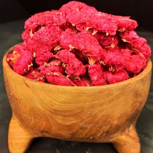 گیاه دارویی گلنار فارسی