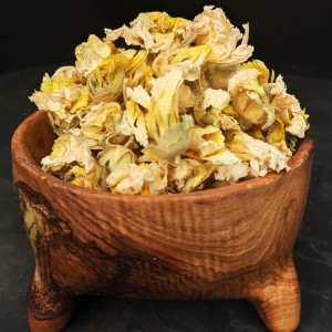 خرید و قیمت عمده گل ختمی سفید