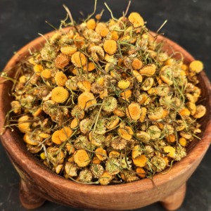 بابونه گاوی